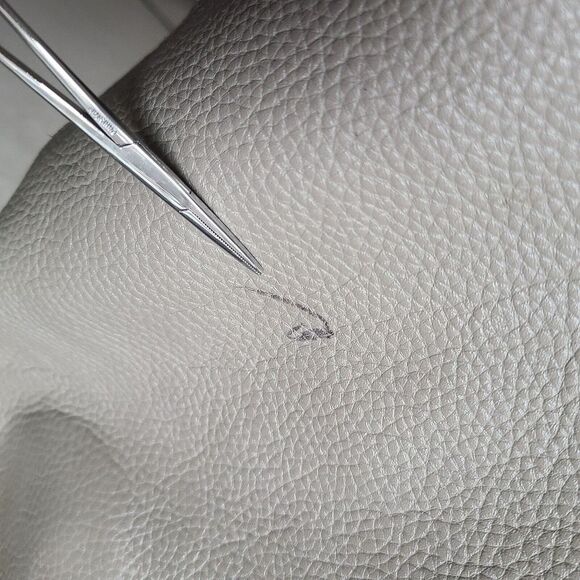 Cuyana Classic Unstructured Leather Pebbled Tote Purse Taupe Minimalist Everyday - Picture 7 of 12